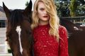 Security horses, including Jordan, were used in a shoot for Australia's Next Top Model.