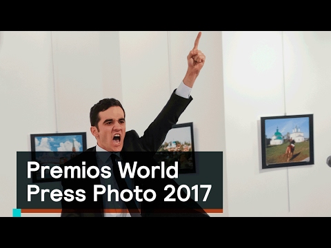 Imágenes destacadas de los Premios World Press Photo 2017 - Despierta con Loret