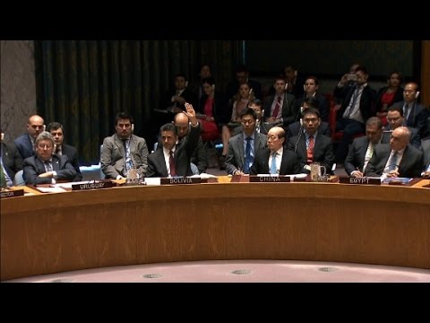 Russia vetoes UN Syrian resolution