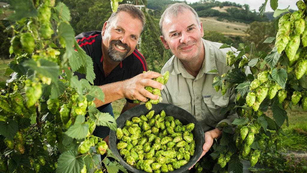 Martin Lunn and Tom Doherty launched their Crossover Hops business last year. Picture: Tom Huntley.