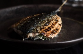 Schichirin grilled Ulladulla mackerel with ginger, shiso and sesame ponzu at Kisume.