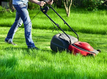 Lawn Mowing