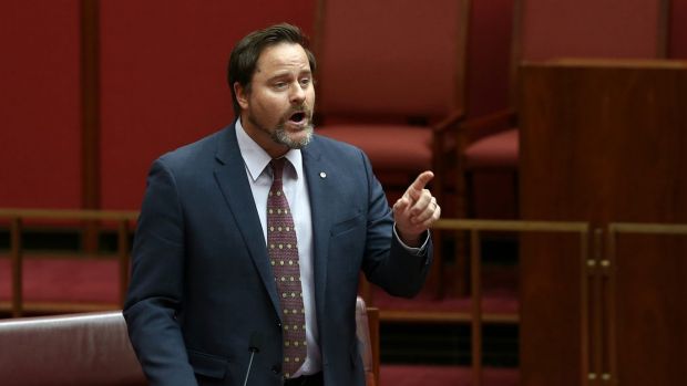 Greens senator Peter Whish-Wilson: "Ridiculous loopholes.''