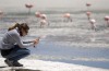 The salt flats are a major tourist attraction in Bolivia, with around 60 thousand tourists visiting them every year.