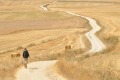 Traveller walks the Camino de Santiago de Compostela, Spain. 