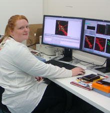 Researcher in Western CHRE lab using confocal microscopy