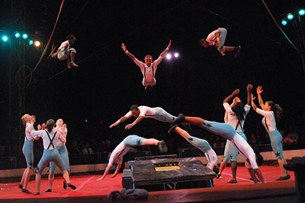 Circus Arts