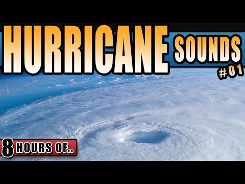 HURRICANE STORM SOUNDS, HORRIFYING SOUNDS OF A HEAVY STORM, STRONG ROARING HOWLING WIND FOR 8 HOURS