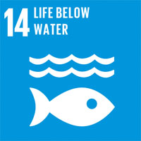 SDG 14 – Conserve and sustain the oceans, seas and marine resources