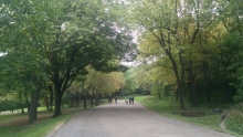 Mount Royal