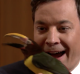 Jimmy Fallon 