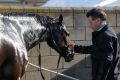 Old mates: Trainer Paddy Payne with No Song No Supper.