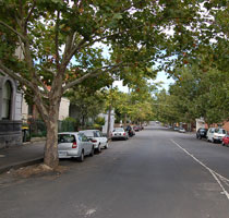 Tree-lined street in Yarra