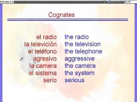 Cognates vs  False Cognates