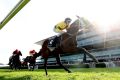 Class act: Damian Lane rides The Mission to win the group 1 Champagne Stakes at Royal Randwick.