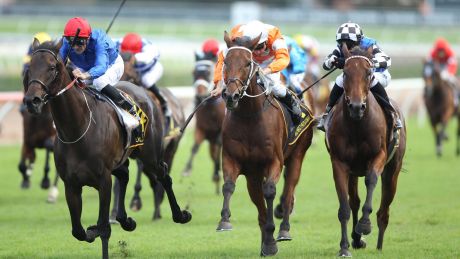 Take two: Corey Brown rides Polarisation to belated victory in the Sydney Cup.