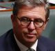 Cloud of constitutional uncertainty: assistant health minister David Gillespie.