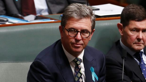 Cloud of constitutional uncertainty: assistant health minister David Gillespie.