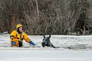 In this photo taken Sunday, April 16, 2017, a firefighter rescues a horse that fell through the ice near Hythe, Alberta. ...