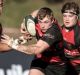 Miller runs the ball for Norths in the Shute Shield.