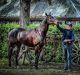 Home track advantage: Hawkesbury trainer Jason Attard with Sons Of John, a previous winner of the Hawkesbury Cup.