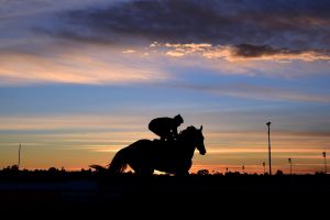 Daylight start: Chris Waller believes trackwork should start later for safety reasons.