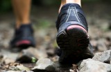 A former federal public servant has lost his entitlement to taxpayer-funded jogging shoes.