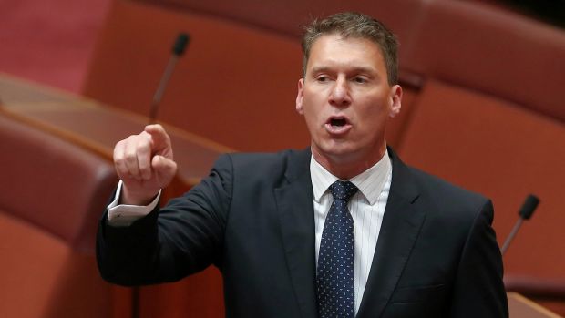 Liberal senator Cory Bernardi has confirmed he will quit the party.