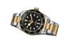 <b>Tudor Heritage Black Bay</b><br>
The Tudor Heritage Black Bay is now in gold and steel.