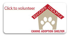 2nd Chance Dog Shelter