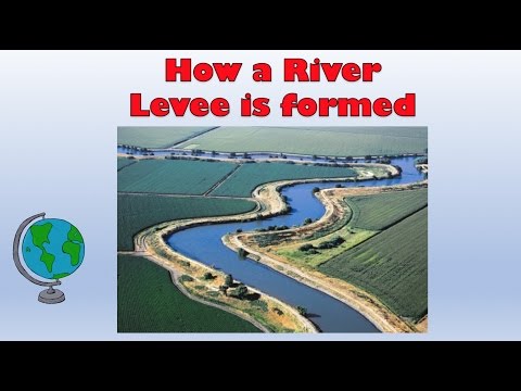 Natural Levees - diagram and explanation