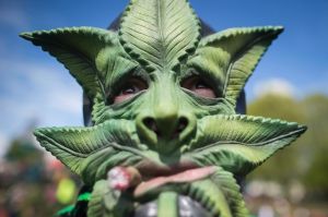 A man wears a marijuana leaf mask during the annual 4/20 cannabis culture celebration at Sunset Beach in Vancouver, ...