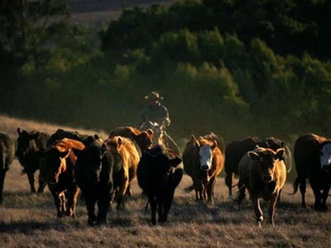 Inside the gates of a media tycoon's private ranch