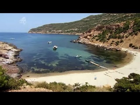 Ottolenghi's Mediterranean Feast: Tunisia