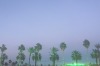 Coachella at dusk.
