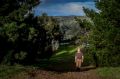 Dr Andrew Lemon standing on a road reservation set aside in the 1960s 