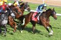 Ben Melham riding French Emotion on the fence before winning at Caulfield.