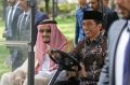 Saudi King Salman, left, rides on a golf cart with Indonesian President Joko Widodo.