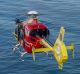 The Westpac helicopter reported a three metre shark just 50 metres off Swanbourne.