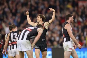 Joe Daniher of the Bombers celebrates after kicking a goal in the final quarter during the round five AFL match between ...