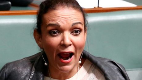 Anne Aly in Federal Parliament