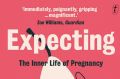 Expecting. By Chitra Ramaswamy.