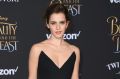 Emma Watson is understandably wary of the role model title.