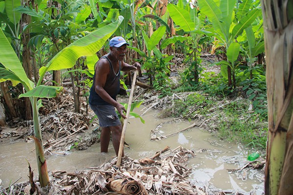 Grand-Goâve se relève dans la dignité après l’ouragan Matthew