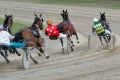 Persuader: A backlash is expected on a forum to discuss the banning of whips in harness racing.