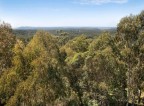 Picture of 8 Hinterland Close, Tinbeerwah