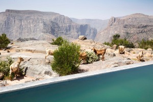 The infinity pool sits right on the lip of the gorge.