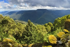 Barrington Tops, NSW