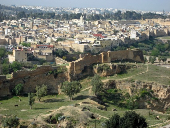 The medieval walled medina (old town) of Fes in Morocco.