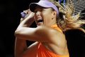 Nervous return: Maria Sharapova.